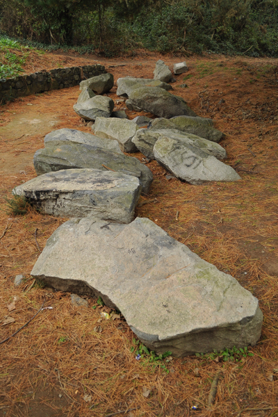 Delancey Park Stones