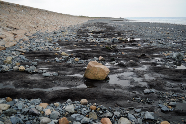 Peat Exposure at La Saline