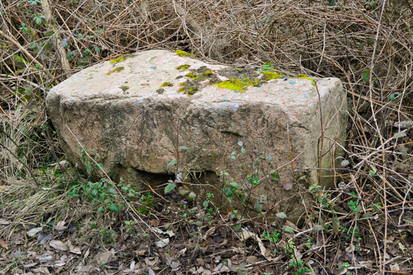 Portelet Common Stone