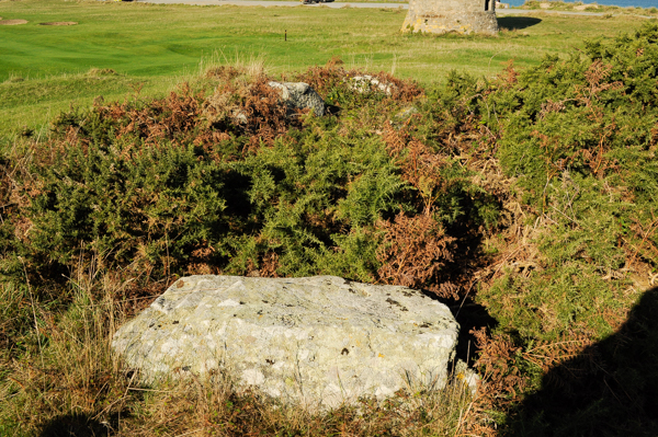 Martello No. 7 Cist