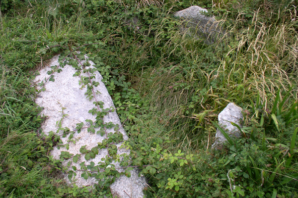 Herm No. 1