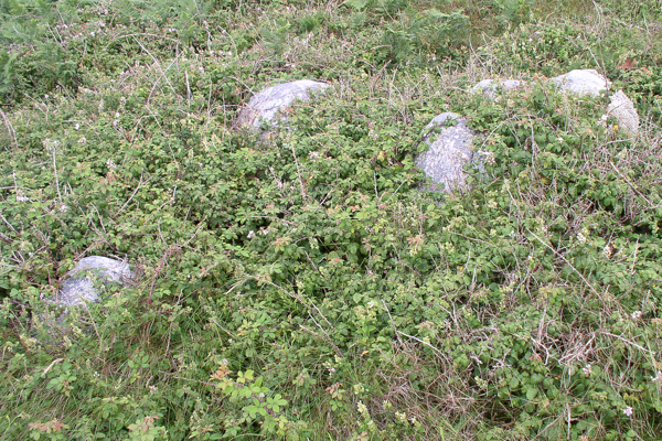 Herm No. 2