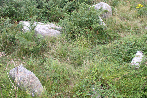 Herm No. 6