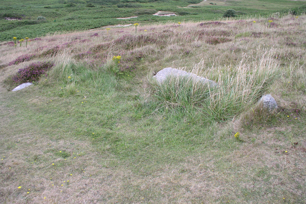 Herm No. 9