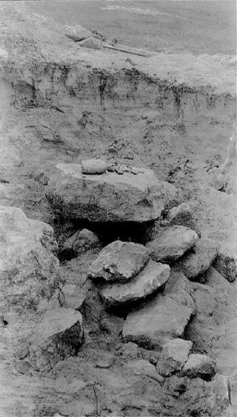 The Ossuary