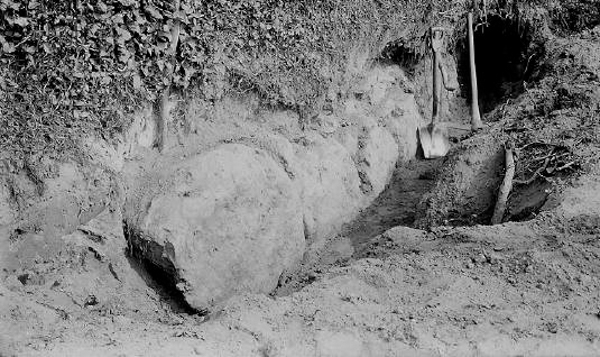 Forest Hill Stones