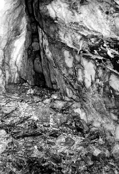 La Belle Hougue Cave I