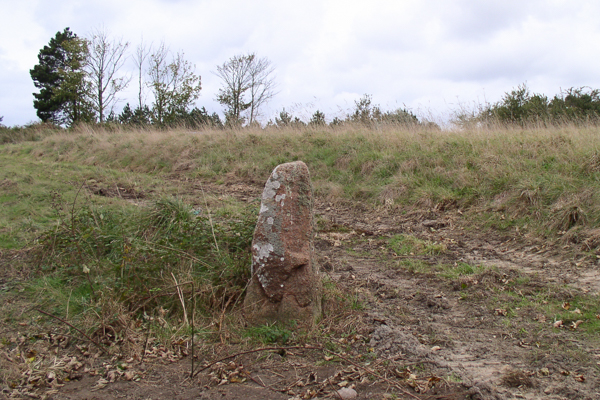 Cherry Farm Menhir