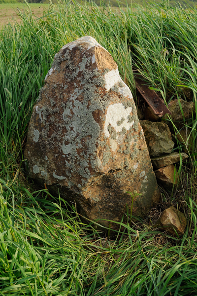 Crabbe Stone B
