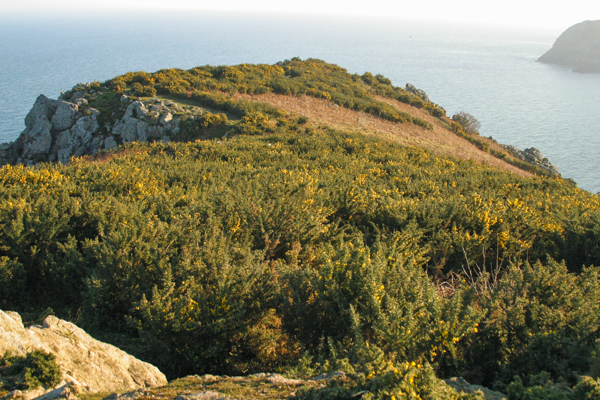 Fr&eacute;mont Point