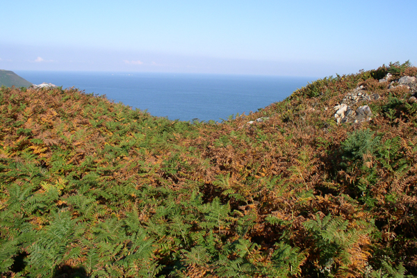 Fr&eacute;mont Point