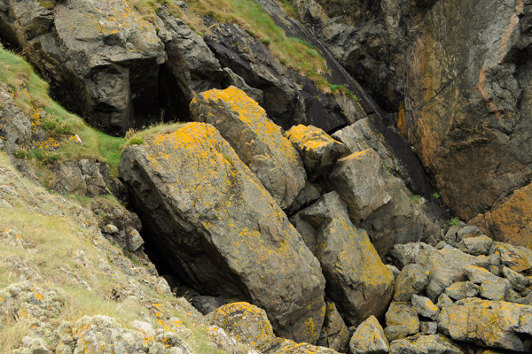 La Belle Hougue Cave I