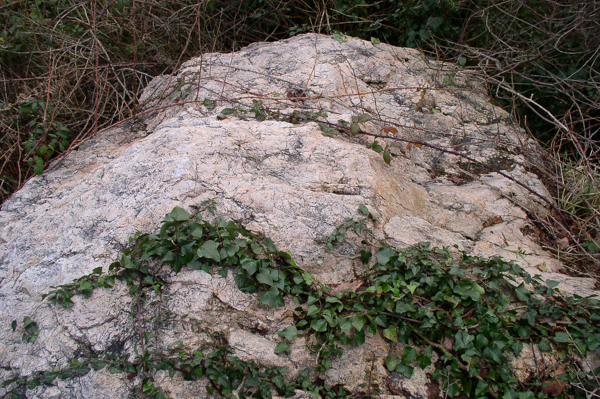 La Dame Blanche