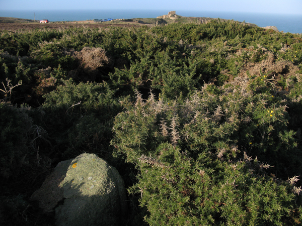 La Hougue des Grosnez