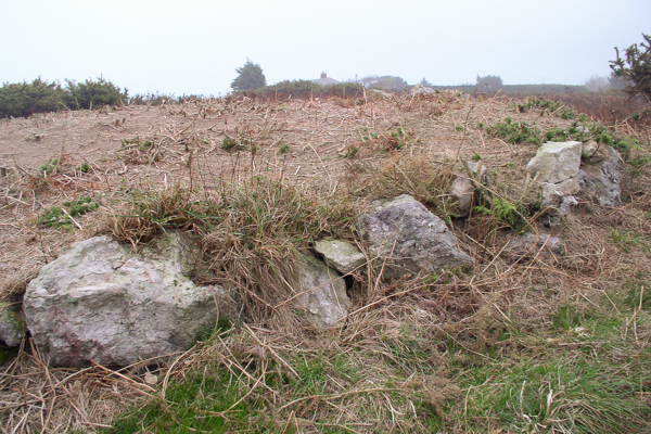 La Hougue des Platons
