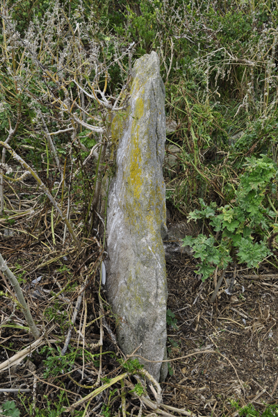 La Maitre Ile