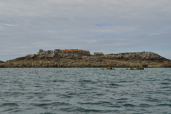 Ma&icirc;tresse &Icirc;le