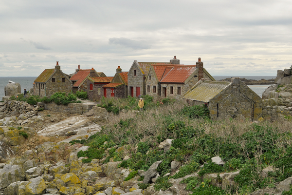 Ma&icirc;tresse &Icirc;le