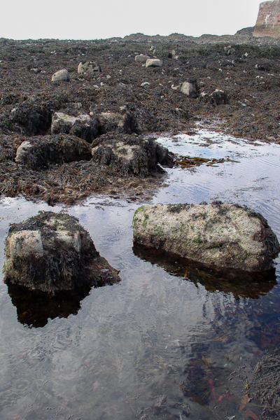 La Rocco Stones