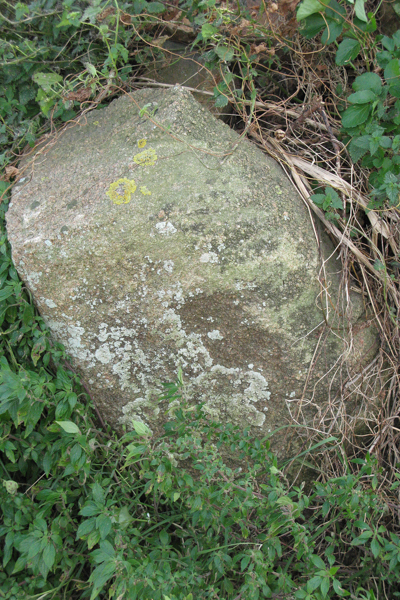 La Rue Laurens Stones