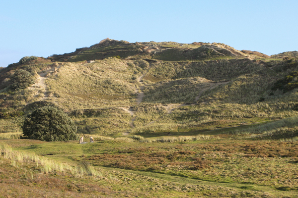 La T&ecirc;te des Quennevais