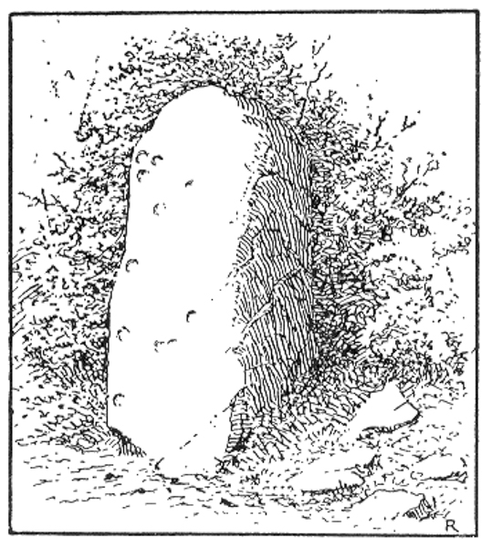 Meadow Bank Stone