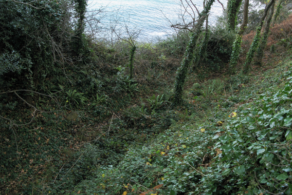 Approximate location of St Catherine's Megalith